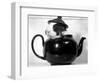 Pinkie the Guinea Pig Sitting in a Tea Pot-null-Framed Photographic Print