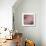 Pinkish-Jeannie Sellmer-Giclee Print displayed on a wall