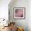 Pinkish-Jeannie Sellmer-Framed Giclee Print displayed on a wall