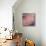 Pinkish-Jeannie Sellmer-Mounted Giclee Print displayed on a wall