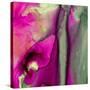 Pinky A-Tracy Hiner-Stretched Canvas