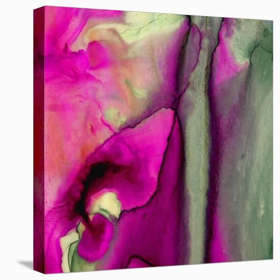 Pinky A-Tracy Hiner-Stretched Canvas