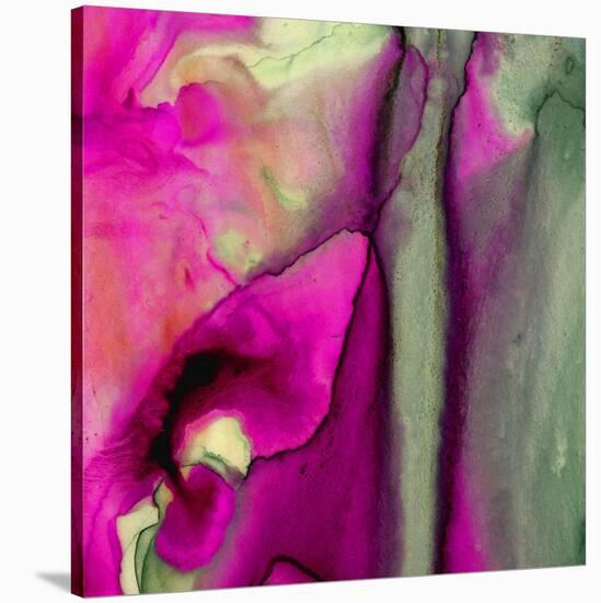 Pinky A-Tracy Hiner-Stretched Canvas