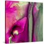 Pinky A-Tracy Hiner-Stretched Canvas