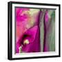 Pinky A-Tracy Hiner-Framed Premium Giclee Print