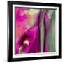 Pinky A-Tracy Hiner-Framed Giclee Print