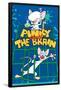 Pinky And The Brain - Key Art-Trends International-Framed Poster