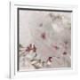 Pinky Blossom 1-LightBoxJournal-Framed Giclee Print