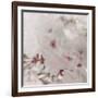 Pinky Blossom 1-LightBoxJournal-Framed Giclee Print