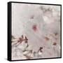 Pinky Blossom 1-LightBoxJournal-Framed Stretched Canvas