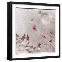 Pinky Blossom 1-LightBoxJournal-Framed Giclee Print