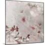 Pinky Blossom 1-LightBoxJournal-Mounted Giclee Print