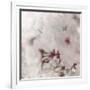 Pinky Blossom 2-LightBoxJournal-Framed Giclee Print