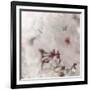 Pinky Blossom 2-LightBoxJournal-Framed Giclee Print