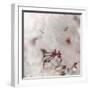 Pinky Blossom 2-LightBoxJournal-Framed Giclee Print