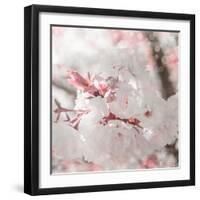 Pinky Blossom 3-LightBoxJournal-Framed Giclee Print