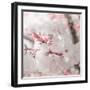 Pinky Blossom 3-LightBoxJournal-Framed Giclee Print