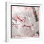 Pinky Blossom 3-LightBoxJournal-Framed Giclee Print