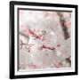 Pinky Blossom 3-LightBoxJournal-Framed Giclee Print