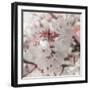 Pinky Blossom 4-LightBoxJournal-Framed Giclee Print