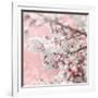 Pinky Blossom 5-LightBoxJournal-Framed Giclee Print