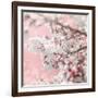 Pinky Blossom 5-LightBoxJournal-Framed Giclee Print