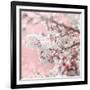 Pinky Blossom 5-LightBoxJournal-Framed Giclee Print