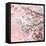 Pinky Blossom 5-LightBoxJournal-Framed Stretched Canvas