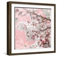 Pinky Blossom 5-LightBoxJournal-Framed Giclee Print