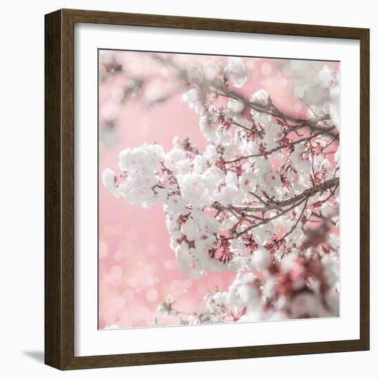 Pinky Blossom 5-LightBoxJournal-Framed Giclee Print