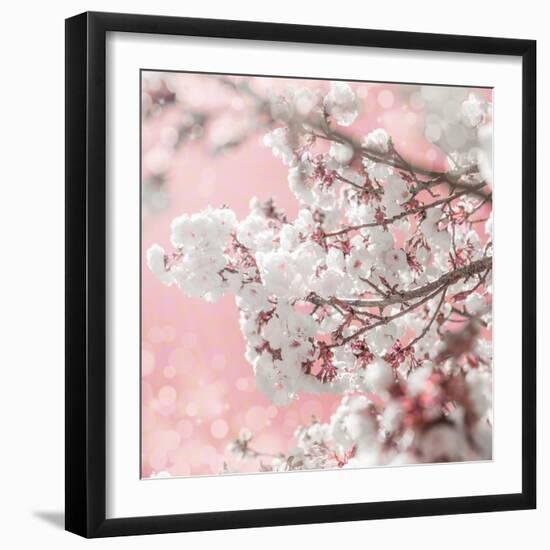 Pinky Blossom 5-LightBoxJournal-Framed Giclee Print