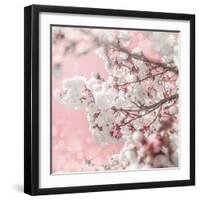 Pinky Blossom 5-LightBoxJournal-Framed Giclee Print