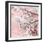 Pinky Blossom 5-LightBoxJournal-Framed Giclee Print