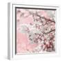 Pinky Blossom 5-LightBoxJournal-Framed Giclee Print