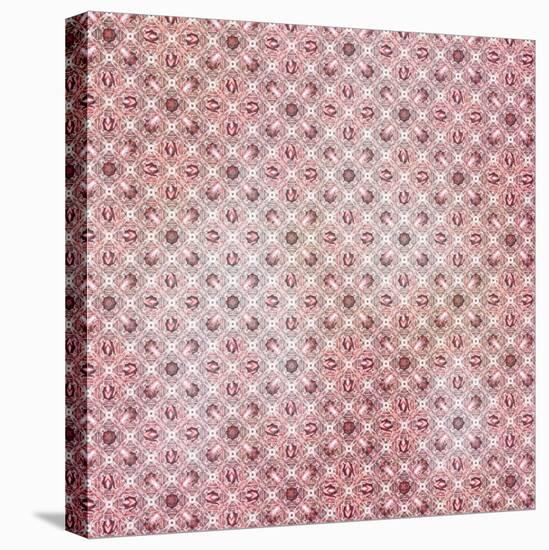 Pinky Blossom Pattern 01-LightBoxJournal-Stretched Canvas