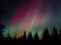 D. Aurora Borealis Alaska Red Skies Northern Lights Copper Center Alaska-pinky-Stretched Canvas