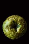 Old Green Wrinkled Apple close up (Macro) on Black Background. Dark Moody Style.-Pinkyone-Photographic Print