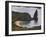 Pinnacle and Beach, Bartolome Island, Galapagos, Ecuador-Rolf Richardson-Framed Photographic Print