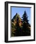Pinnacle Peak in Mount Rainier National Park-Paul Souders-Framed Photographic Print