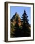 Pinnacle Peak in Mount Rainier National Park-Paul Souders-Framed Photographic Print