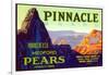 Pinnacle Pear Label-null-Framed Art Print
