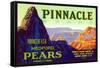 Pinnacle Pear Label-null-Framed Stretched Canvas