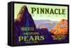 Pinnacle Pear Label-null-Framed Stretched Canvas