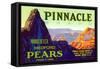 Pinnacle Pear Label-null-Framed Stretched Canvas