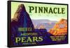 Pinnacle Pear Label-null-Framed Stretched Canvas