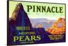 Pinnacle Pear Label-null-Stretched Canvas