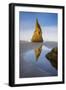 Pinnacle Reflection - Vertical-Michael Blanchette Photography-Framed Giclee Print