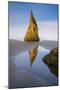 Pinnacle Reflection - Vertical-Michael Blanchette Photography-Mounted Giclee Print
