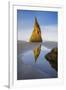 Pinnacle Reflection - Vertical-Michael Blanchette Photography-Framed Giclee Print