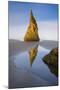 Pinnacle Reflection - Vertical-Michael Blanchette Photography-Mounted Giclee Print